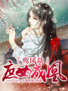 鸾凤劫：庶女成凰凤时锦君千纪