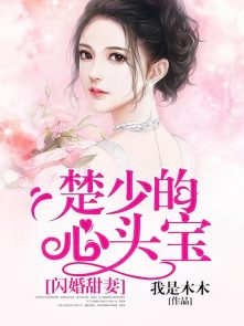战龙狂枭萧阳