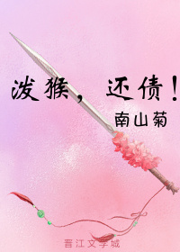 泼猴，还债！