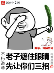 狂婿如龙陆叶