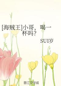 [海贼王]小哥，喝一杯吗？