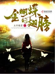 大明从揍了武宗开始