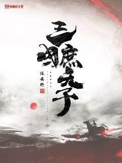 三国庶天子