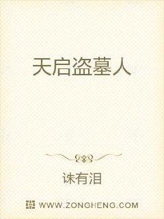 天启盗墓人