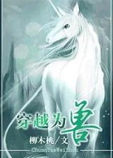 小说以妻之名